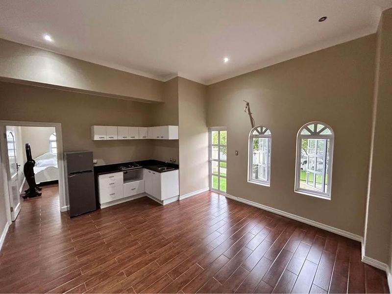 Spacious open-plan living area featuring a compact kitchenette with built-in cabinetry, hob, and sink, complemented by arched windows and modern wood-look flooring.