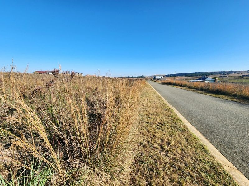 A view of the paved street and surrounding vacant residential land, showcasing the neighborhood approach and access to the property.