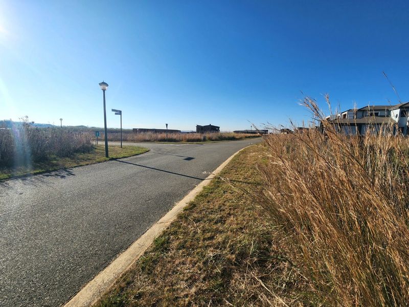 A clear street view of the residential development showing paved roads, curbing, and established street lighting in a sunny, open setting.
