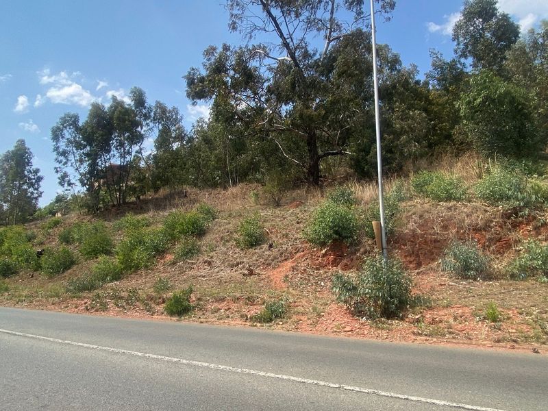 A street-level view of a vacant residential plot featuring natural vegetation and a utility pole adjacent to an asphalt road.