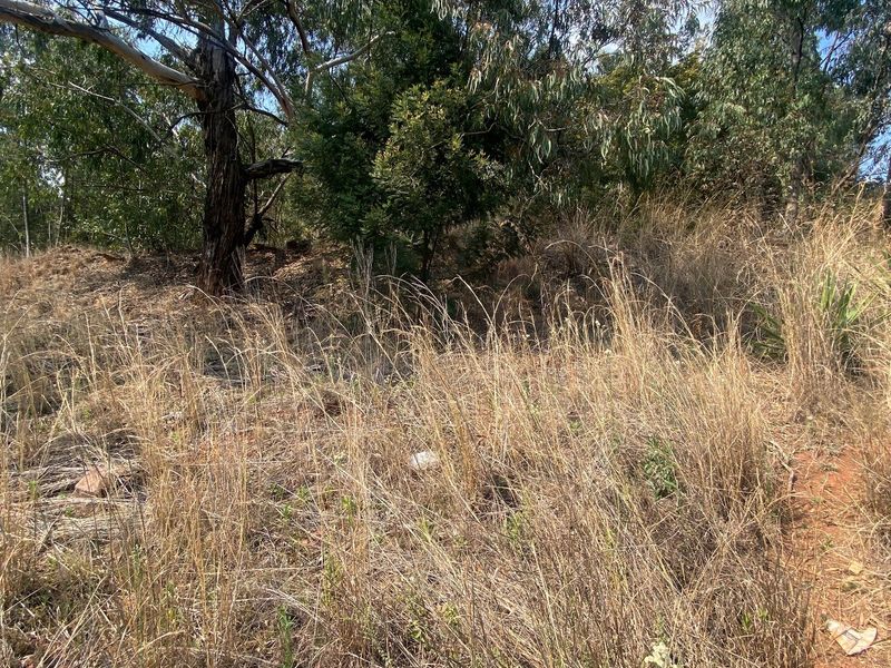 A view of the vacant residential land featuring natural vegetation and mature trees, requiring clearing for development.
