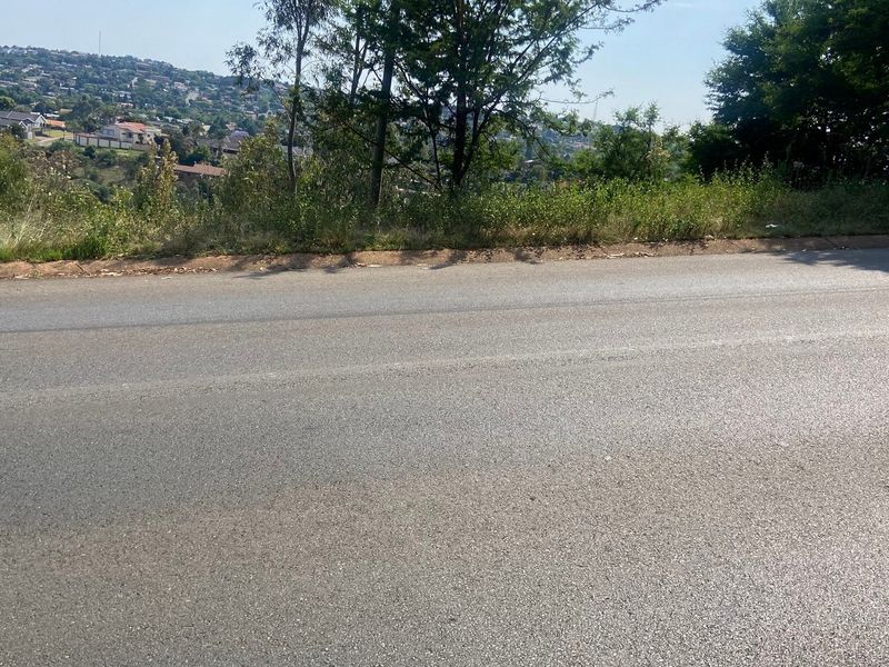 A view of the asphalt road and surrounding vegetation bordering the residential vacant land.