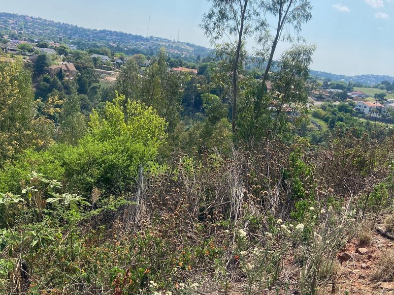 A scenic elevated view overlooking the surrounding residential landscape and natural vegetation on this vacant residential plot.