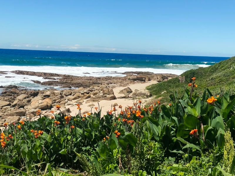 A scenic coastal view featuring a rocky shoreline, sandy beach, and ocean waves, framed by natural coastal vegetation.