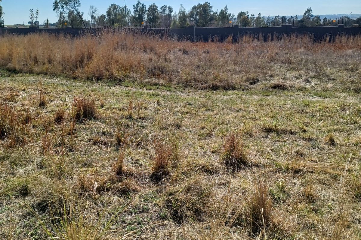 A view of a vacant residential plot featuring natural grass coverage and a perimeter boundary wall in the background.