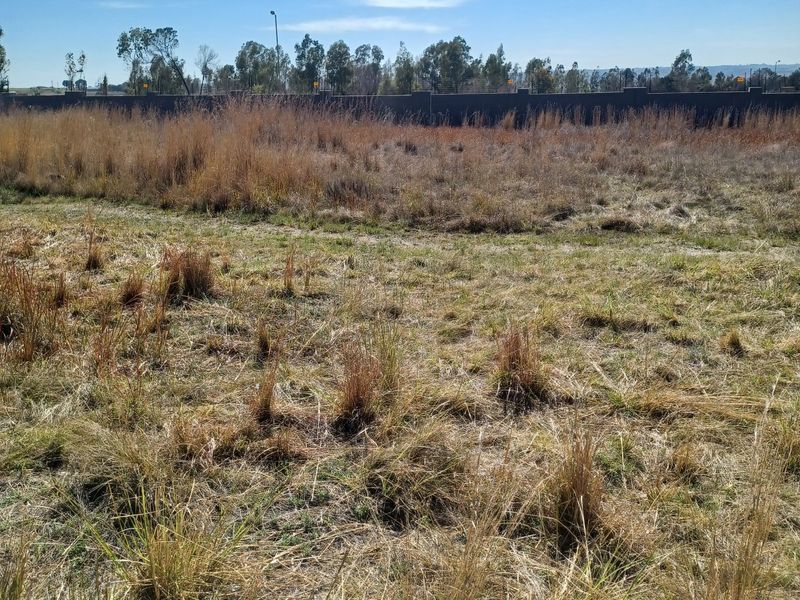 A view of a vacant residential plot featuring natural grass coverage and a perimeter boundary wall in the background.