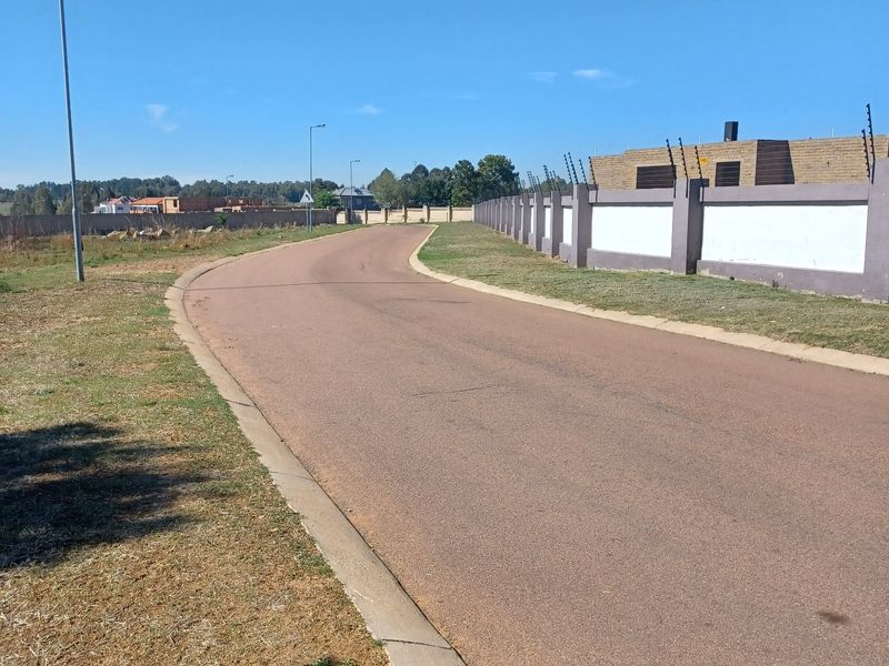 A view of a paved residential street featuring concrete curbing, street lighting, and a perimeter wall with electric fencing.