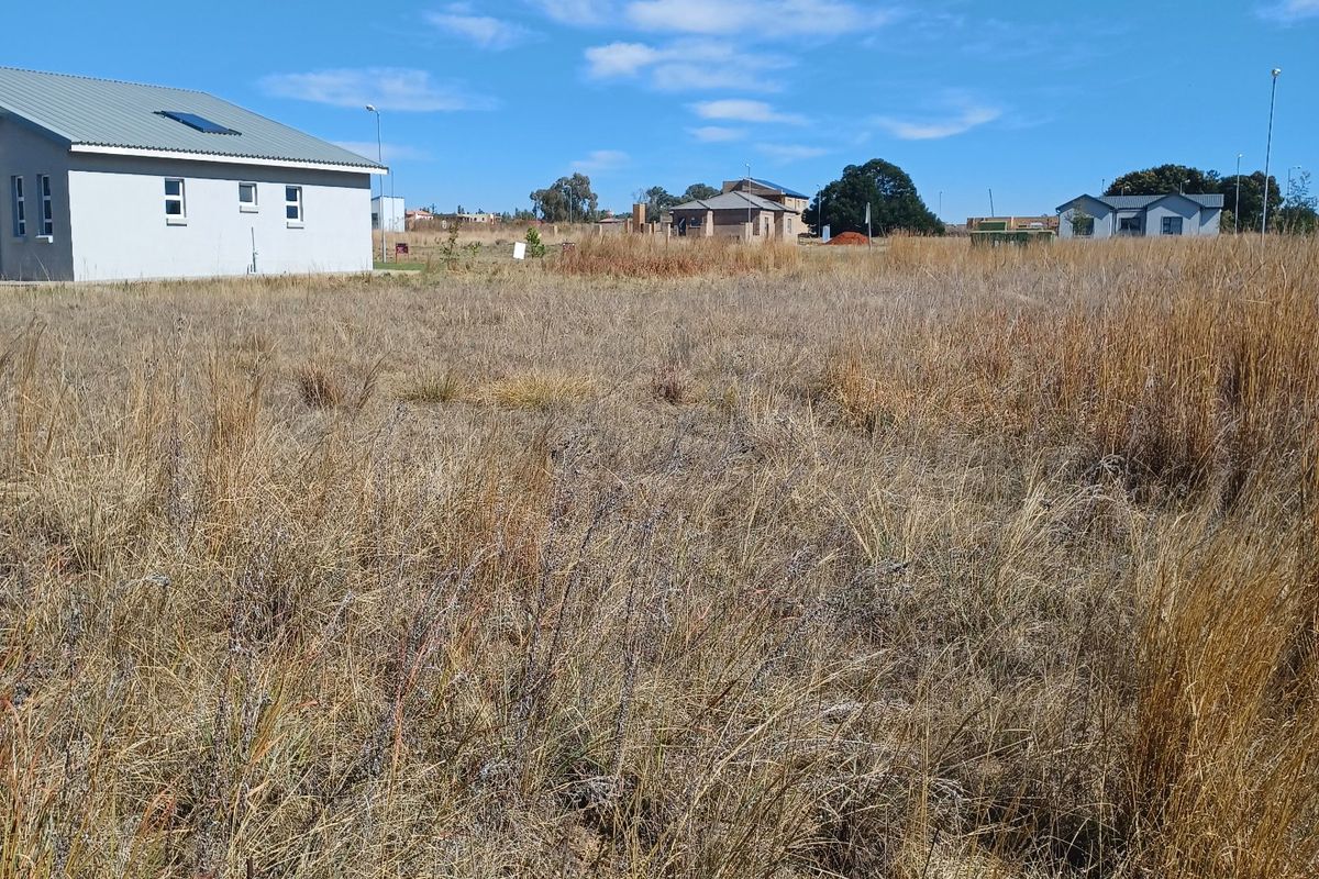 A view of a vacant residential plot featuring dry grass with neighbouring houses visible in the background.