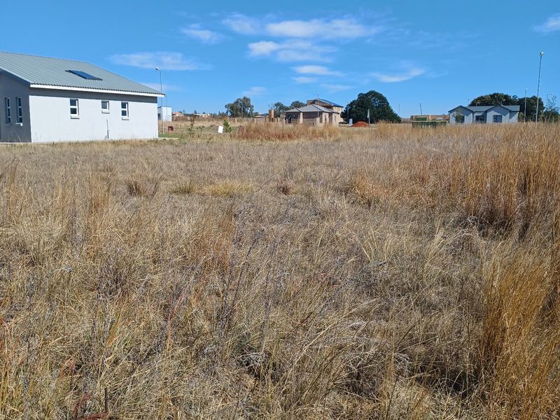 A view of a vacant residential plot featuring dry grass with neighbouring houses visible in the background.