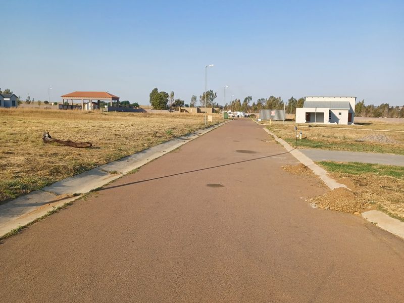 A view of a paved residential street within a development, featuring street lighting and concrete curbing with surrounding vacant land.
