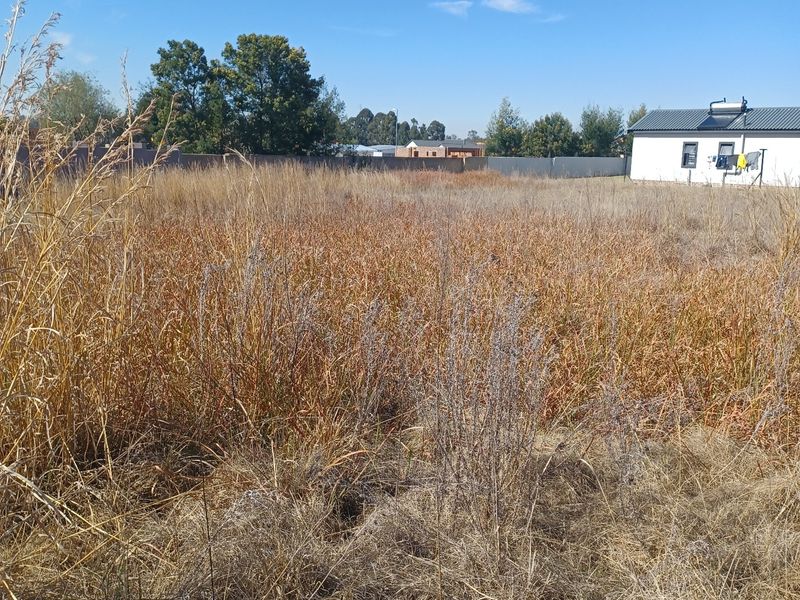 A vacant residential plot featuring overgrown grass and a boundary wall, offering a blank canvas for future development.