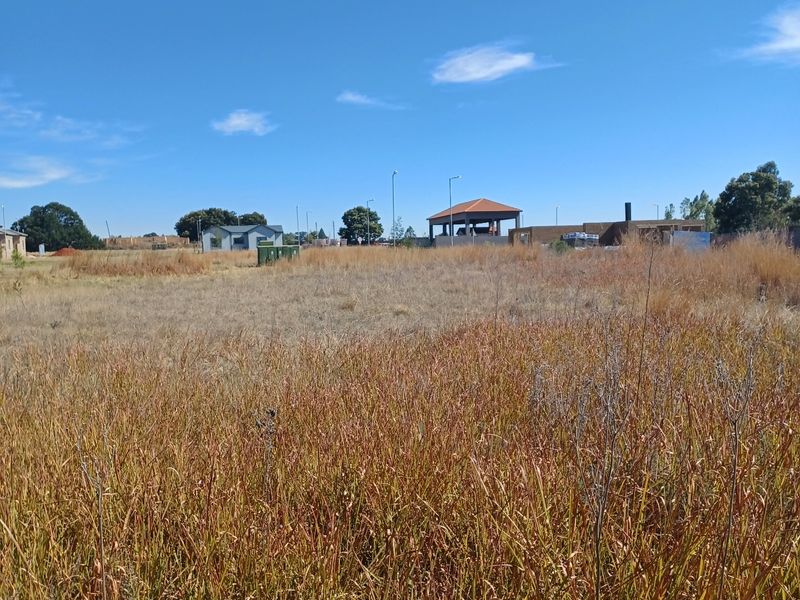 A view of a vacant residential plot covered in dry grass, showing the surrounding neighborhood landscape.