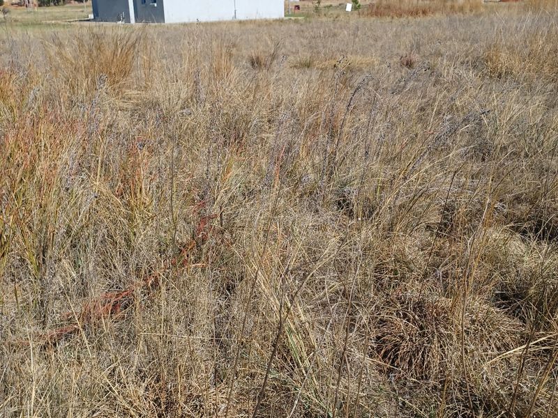 A view of a vacant residential plot with dry grass, showing neighboring properties in the background.