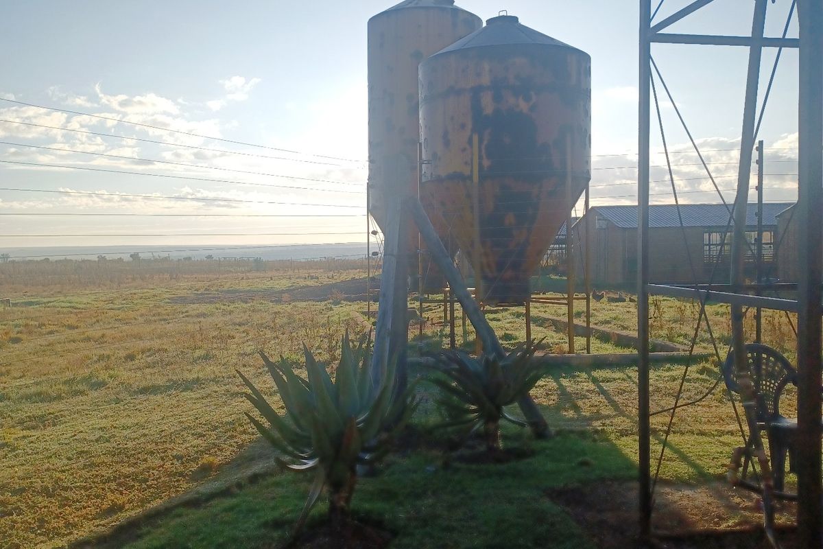 Outdoor farm area featuring two large metal grain silos and a windmill structure set against a rural landscape.