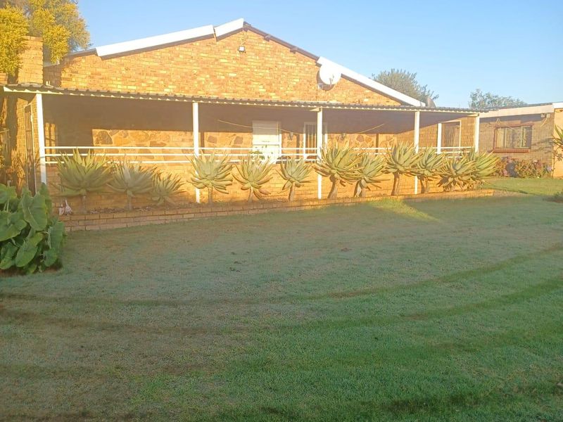 Rear view of a brick farmhouse featuring a covered patio, metal roofing, and established garden landscaping.