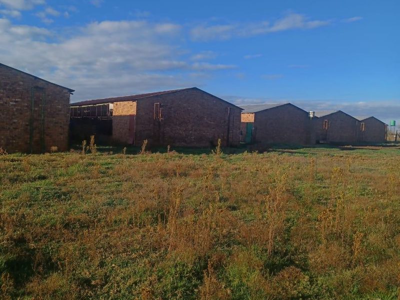 A view of multiple brick farm buildings set within a large, open field on the property.