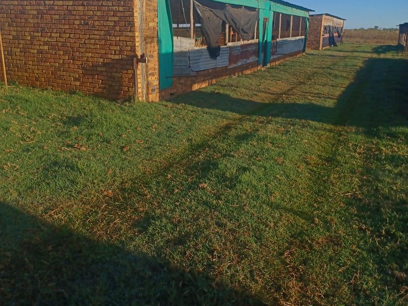 Exterior view of agricultural outbuildings featuring brick construction, corrugated metal roofing, and wire mesh ventilation panels on a rural farm property.
