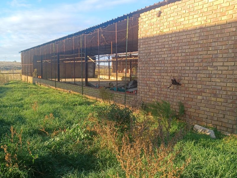 An exterior view of a farm outbuilding featuring brick construction and metal roofing, showing signs of significant wear and structural deterioration.
