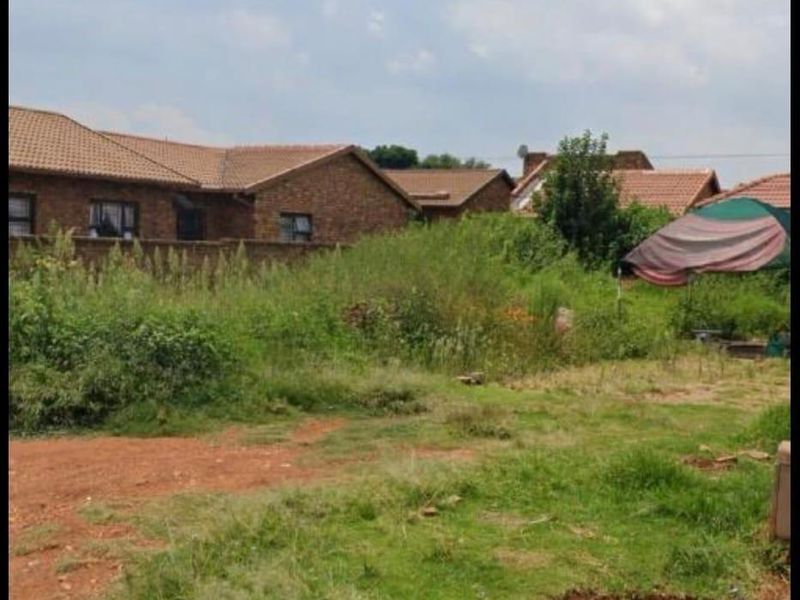 A view of a vacant residential plot featuring overgrown vegetation, a brick boundary wall, and a small paved section.