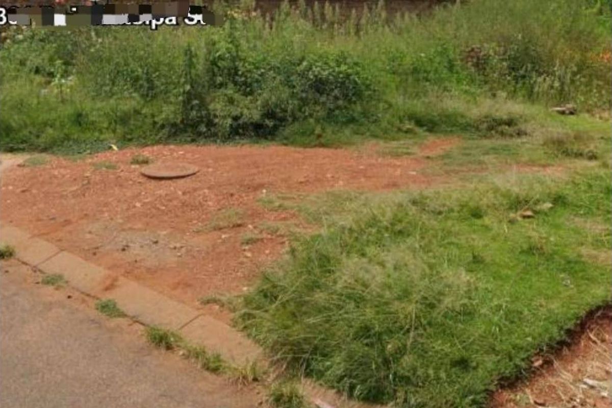 A view of a vacant residential plot featuring a manhole cover, concrete kerbing, and overgrown natural vegetation.