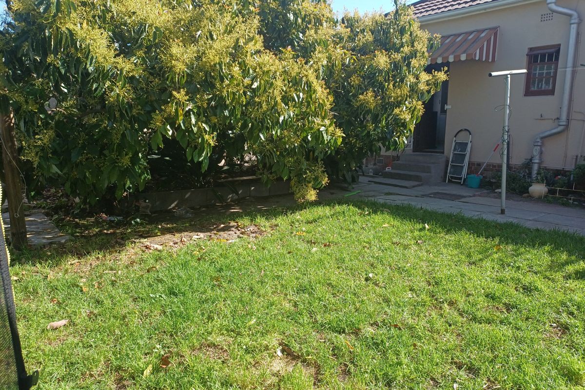A view of the rear garden featuring a small paved patio area, concrete steps leading to the house, and a mature tree.