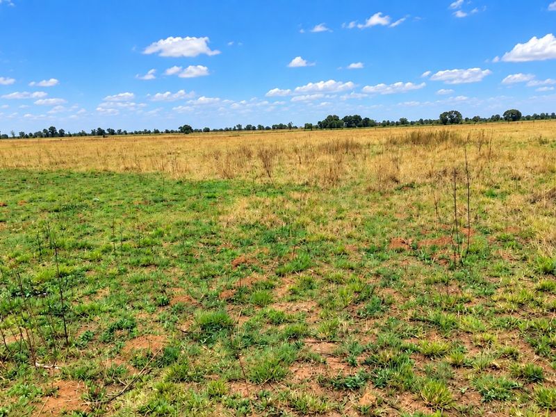 Expansive open farmland featuring natural grassland and pasture under a clear blue sky.