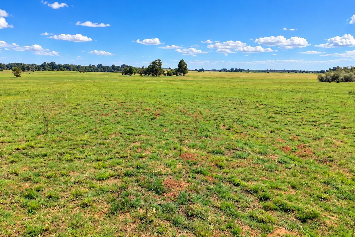 Expansive open grassland and pasture landscape offering scenic rural views across the farm property.