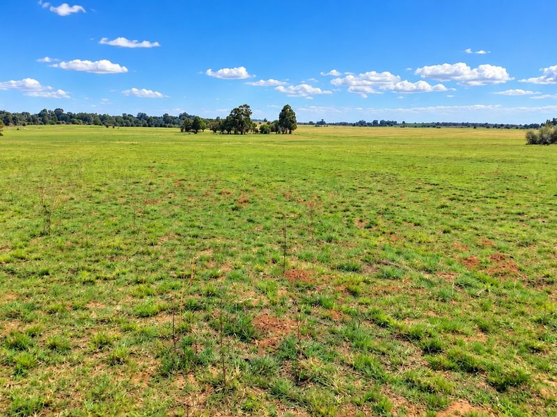 Expansive open grassland and pasture landscape offering scenic rural views across the farm property.