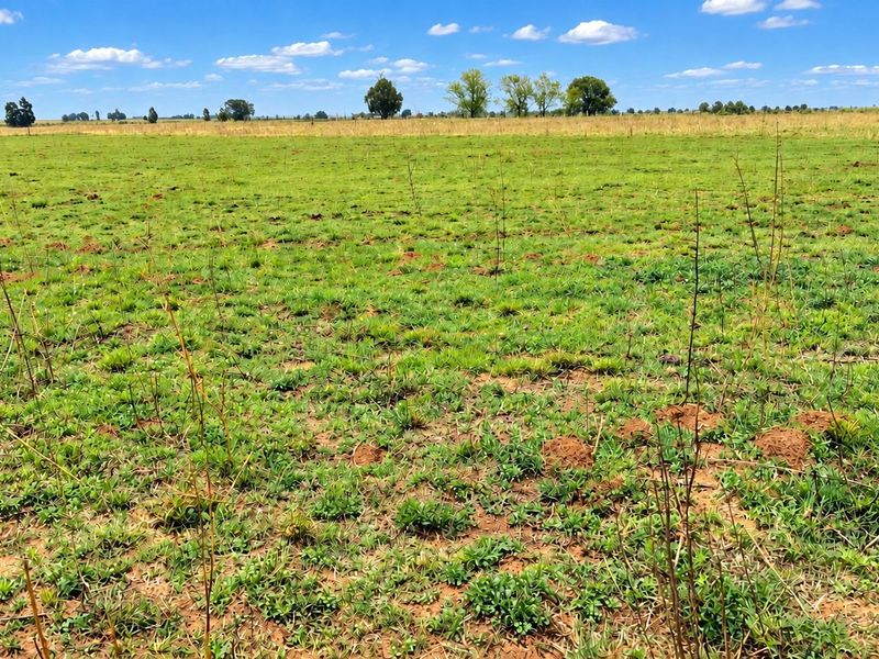 Expansive open farmland with natural grass cover and distant tree lines under a clear blue sky.