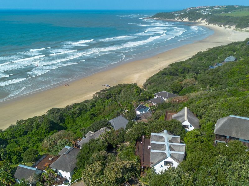 An aerial view of a coastal residential estate featuring multiple homes with thatched roofs nestled within lush vegetation overlooking the beach and ocean.