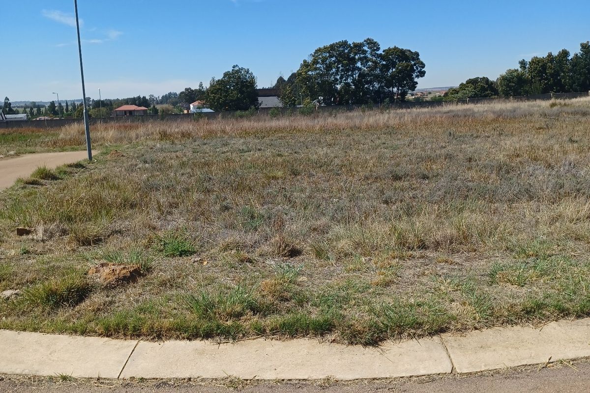 A vacant residential plot featuring a level grassed area, concrete curbing, and an adjacent asphalt road with a street light.