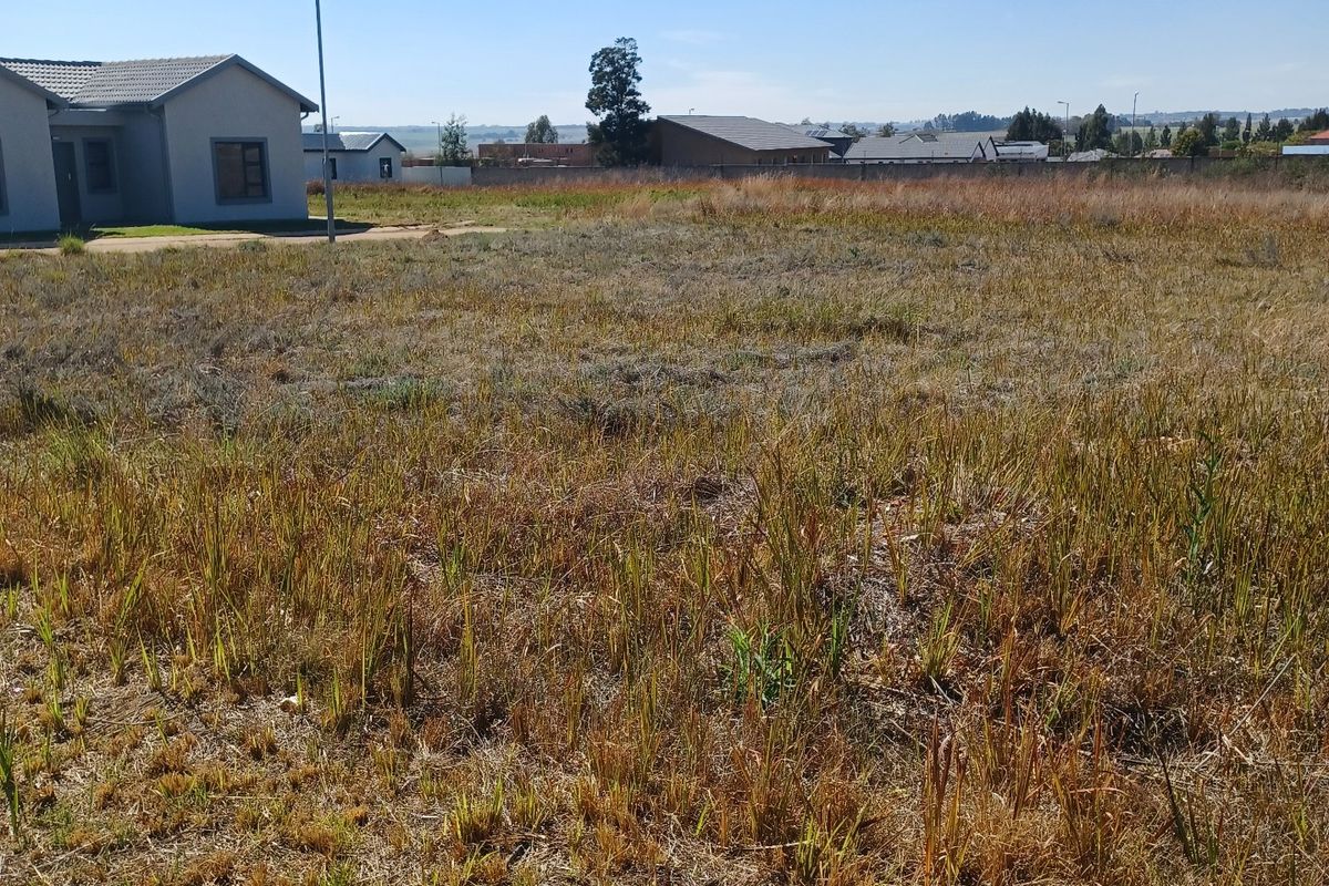 A vacant residential plot of land featuring natural grass coverage, adjacent to existing residential housing and street infrastructure.