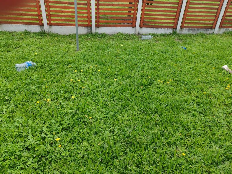A private garden area featuring a lawn and timber slat fencing along the boundary wall.