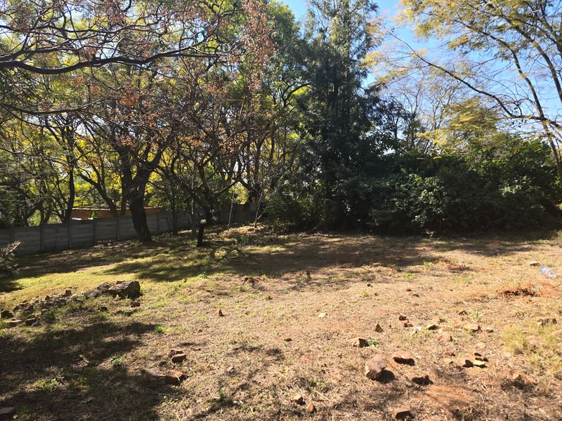 A vacant residential plot featuring mature trees and a precast concrete boundary wall, offering a natural setting for future development.