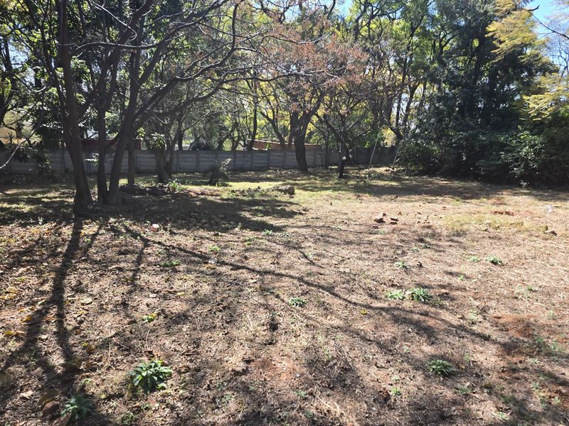 A spacious, undeveloped residential plot featuring mature trees and a precast concrete boundary wall, offering a blank canvas for future landscaping or construction.