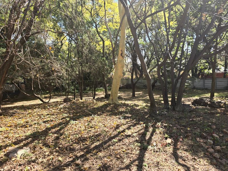 A view of a wooded residential plot featuring mature trees and a precast concrete boundary wall.