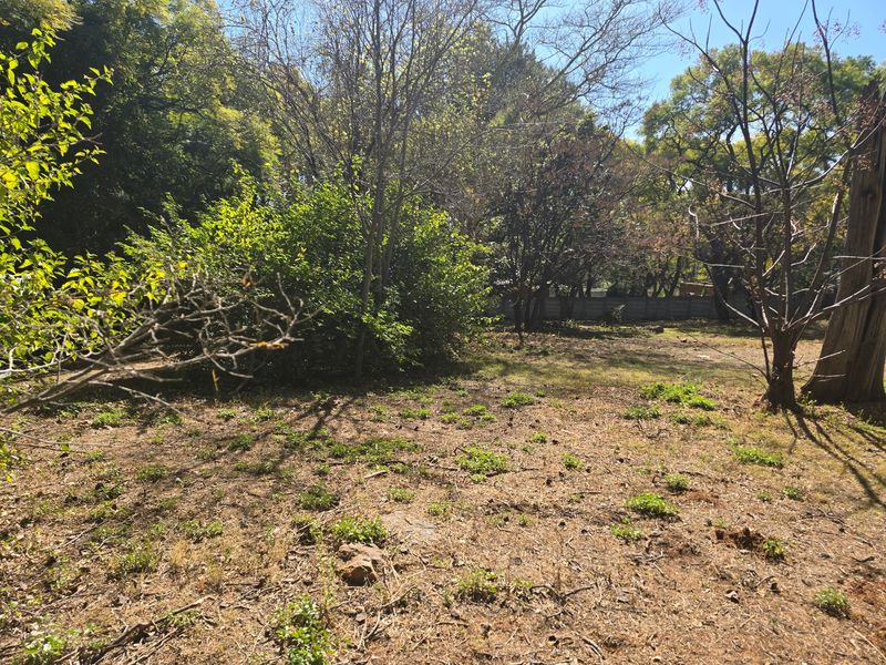 A view of a vacant residential plot featuring mature trees and natural vegetation, providing a private setting for potential development.