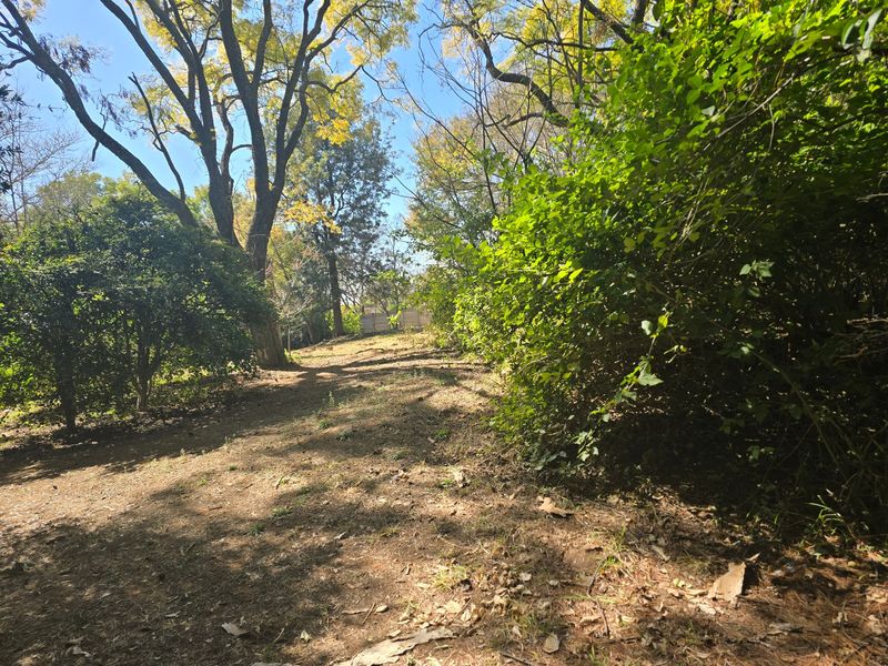 A view of a natural, wooded residential plot featuring mature trees and established vegetation, offering a private and serene setting for potential development.