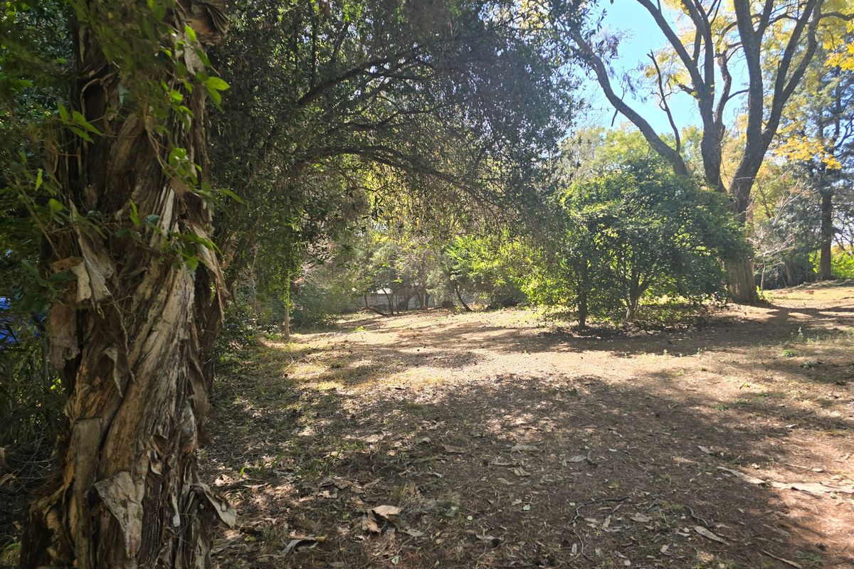 A view of a vacant residential plot featuring mature trees and natural ground cover, offering a peaceful and wooded setting.