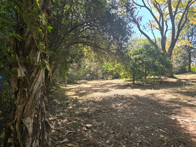A view of a vacant residential plot featuring mature trees and natural ground cover, offering a peaceful and wooded setting.
