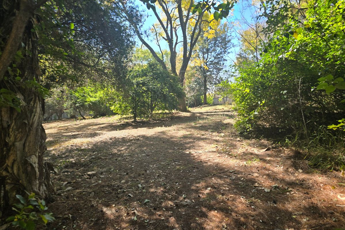 A view of a natural, wooded residential plot featuring mature trees and established vegetation.