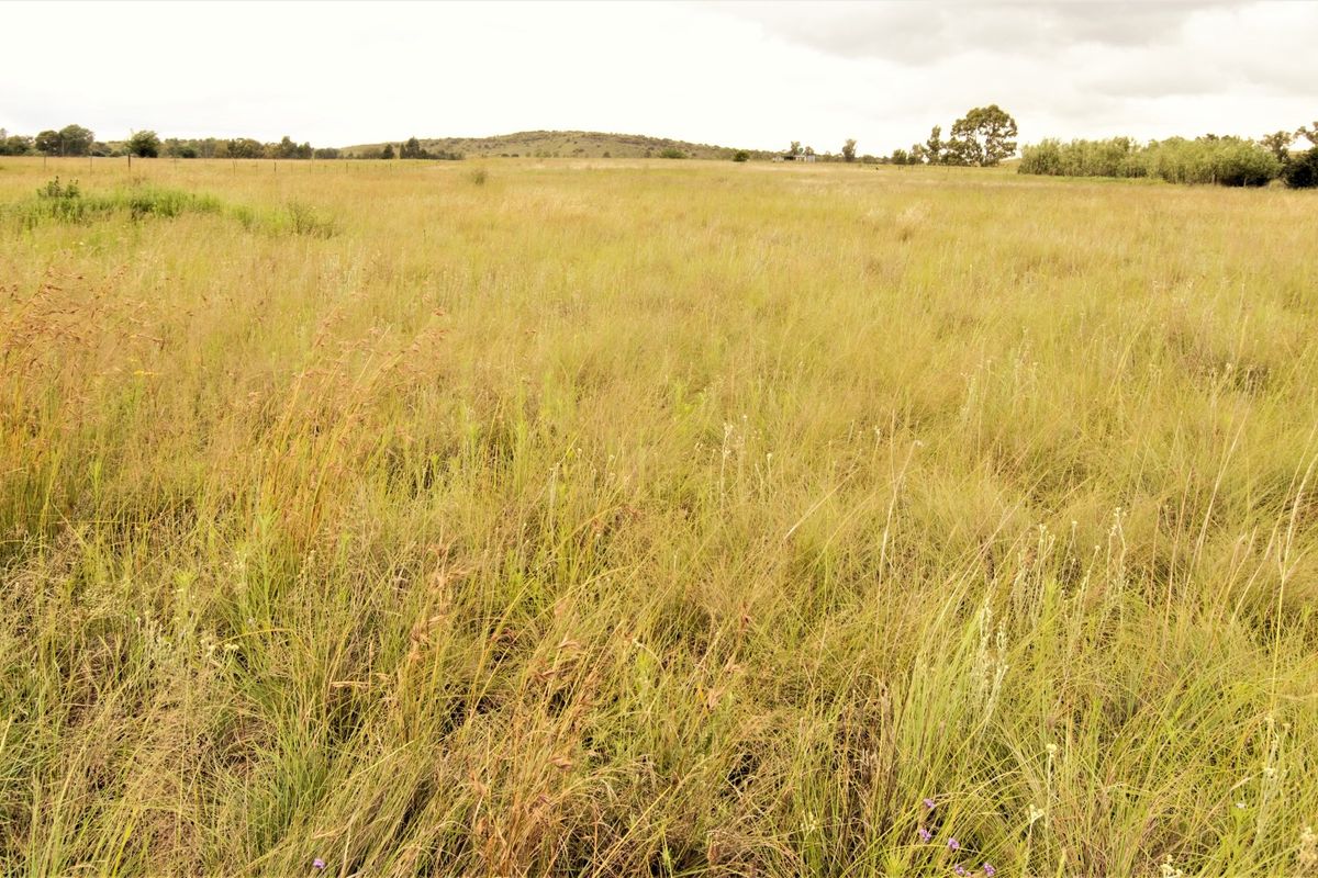 A wide, open expanse of vacant residential land featuring natural grass coverage and distant tree lines.
