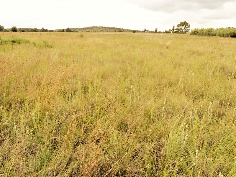A wide, open expanse of vacant residential land featuring natural grass coverage and distant tree lines.