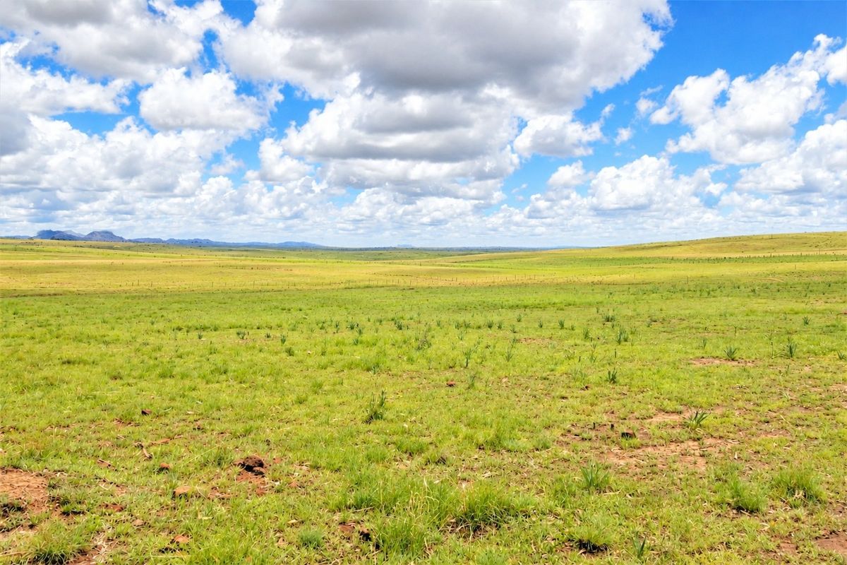 Expansive view of open, undeveloped residential land featuring natural grassland and distant mountain horizons under a bright, cloudy sky.