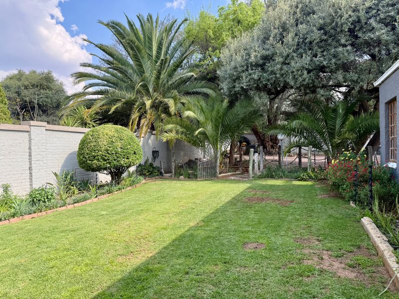 A well-established private garden featuring a manicured lawn, mature palm trees, and a secure perimeter brick wall.