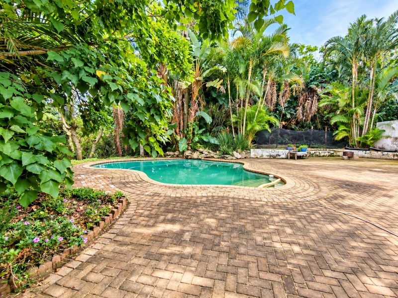 A private outdoor pool area featuring a swimming pool surrounded by extensive brick paving and lush, mature garden landscaping.
