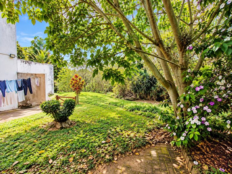 A lush, well-established garden featuring mature trees, flowering shrubs, a paved pathway, and a side exterior wall with a drying area.