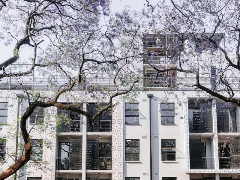 Modern apartment building facade featuring clean lines, aluminium windows, and decorative metal privacy screens, framed by mature flowering trees.