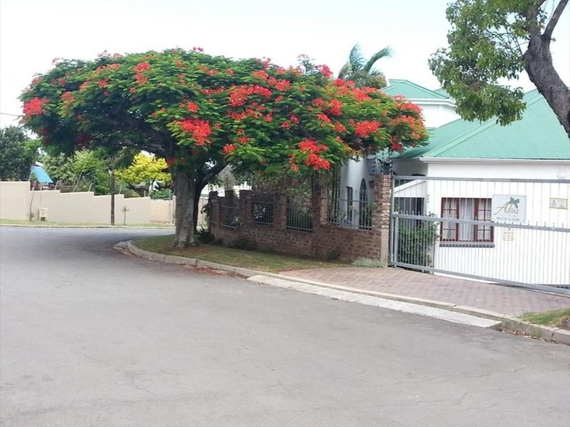 Street view of the property entrance featuring a brick boundary wall, metal security gate, and a large flowering tree.
