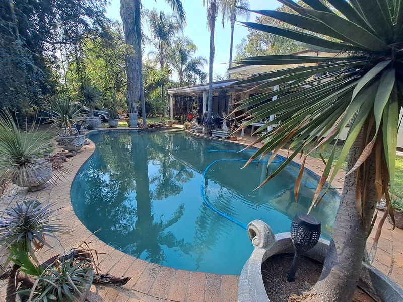 Outdoor swimming pool area featuring brick coping and an adjacent covered patio space, surrounded by established garden landscaping.